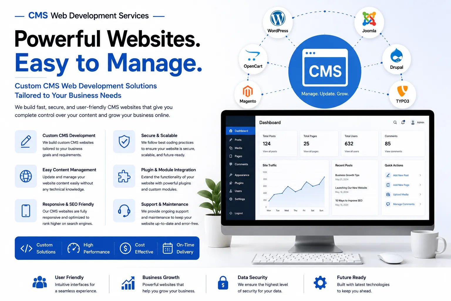 CMS Web Development